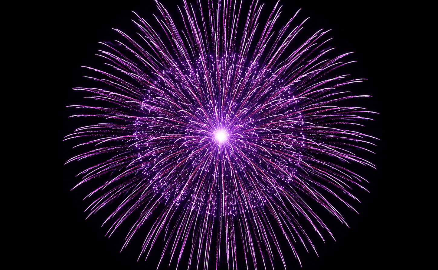 chrysanthemum firework