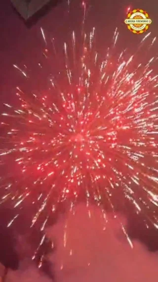 Firework Garama Arora Fireworks: India's #1 Fireworks Retailer & Manufacturer